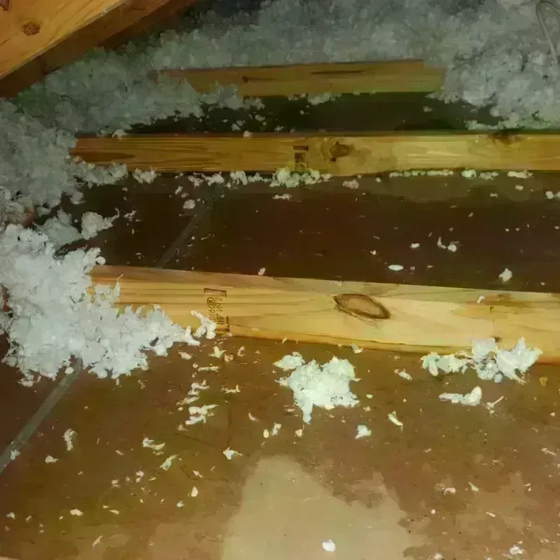 Attic Water Damage in Stafford, OR