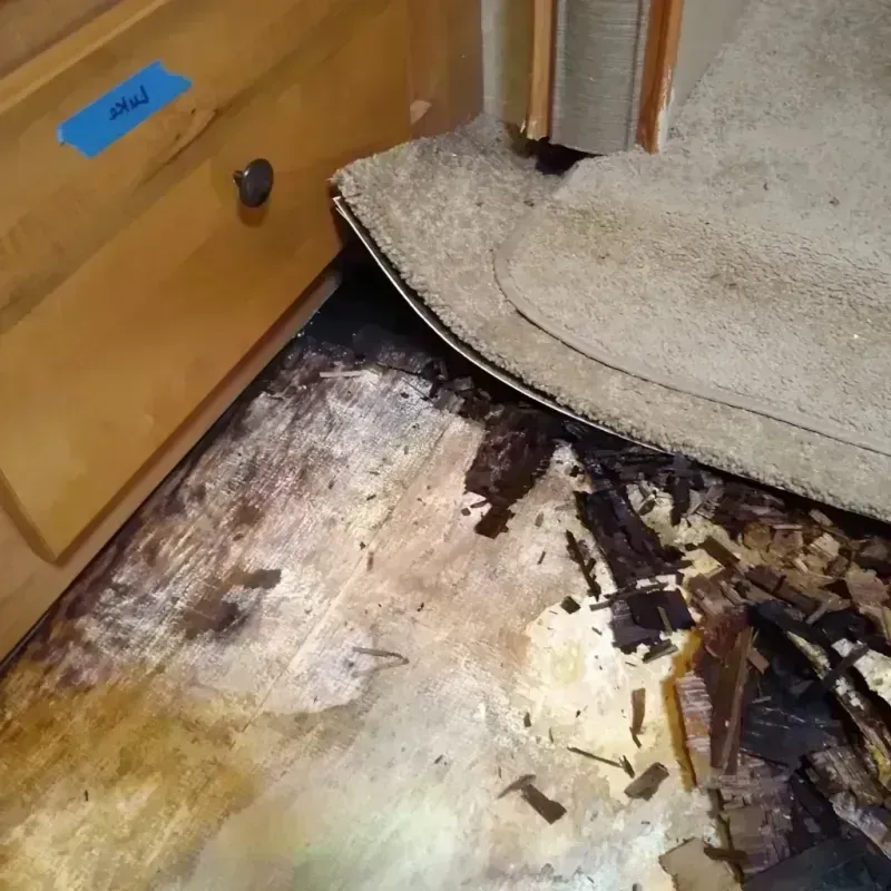 Wood Floor Water Damage in Stafford, OR